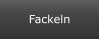 Fackeln